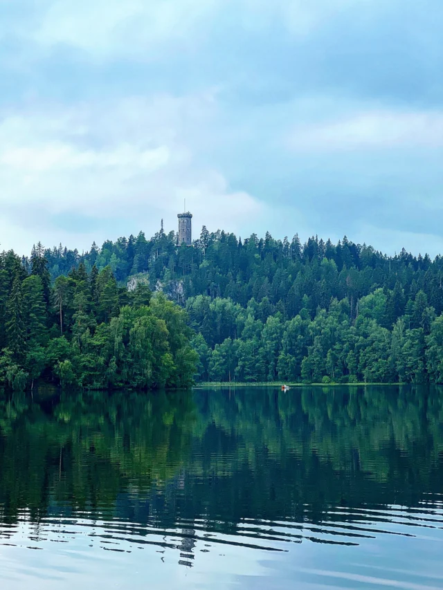 Aamun sateiden jälkeen oli hyvä hetki piipahtaa Sibeliuksen metsään ja kiertää Aulankojärvi. Oli paikoin aika trooppinen ilmasto.
#aulanko #sibeliuksenmetsä #aulankojärvi #hämeenlinna #lähiluonto