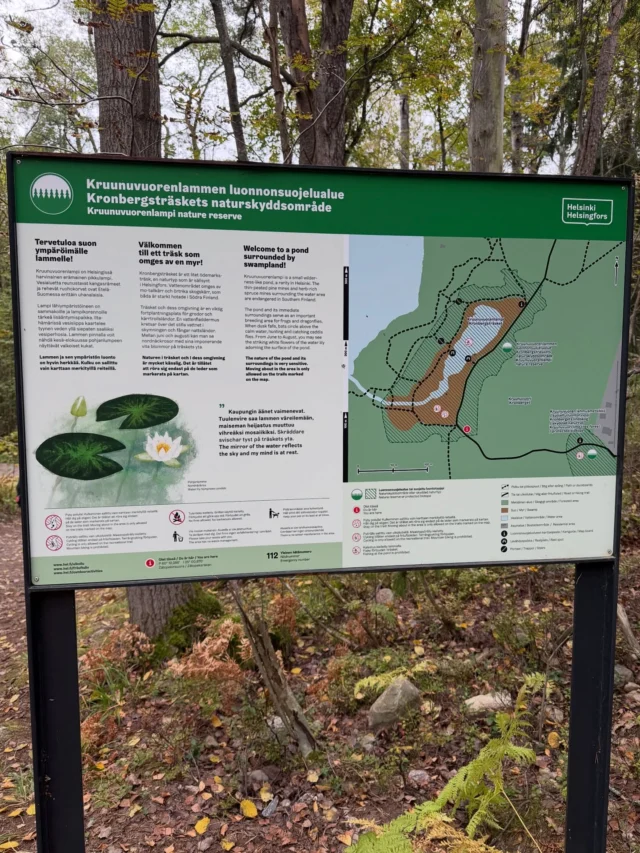 Kruunuvuoresta löytyy pieni vihreä keidas Kruunuvuorenlammen suojelualue, johon kävimme Johanneksen ja Arjan kanssa tutustumassa. Nätti pieni lampi suon ympäröimänä aivan meren rannalla. Kaunista lehtimetsää ja maisemia merenlahdelle.
#kruunuvuori #kruunuvuorenlampi #luonnonsuojelualue
