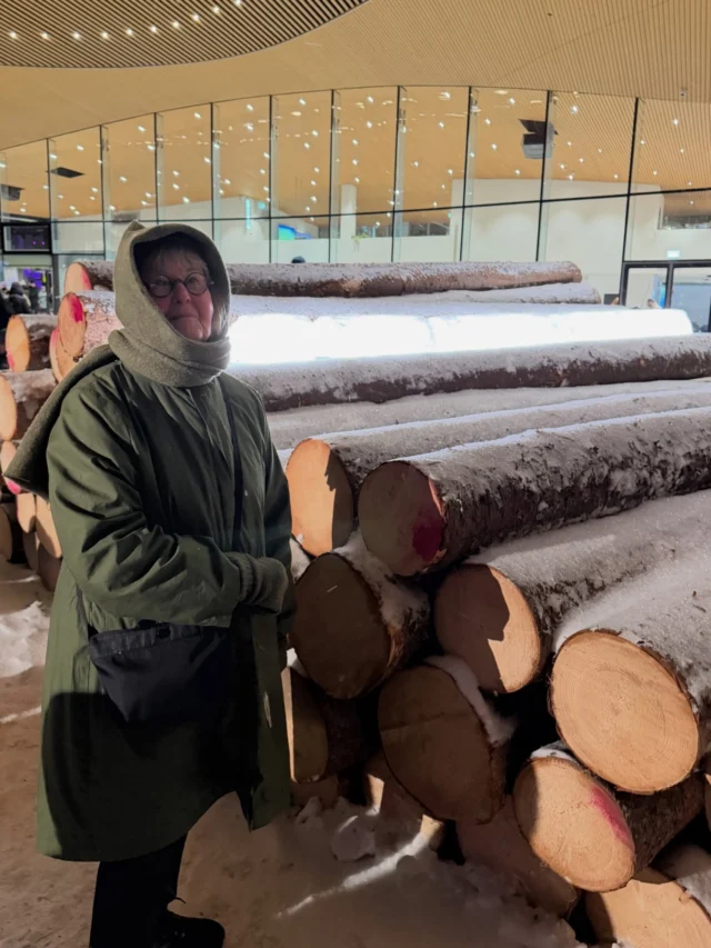 Lux Helsingissä oli mielenkiintoisia teemoja ja hienoja teoksia. Jaksettiin tarpoa läpi koko reitti pakkasesta ja tuulesta huolimatta.